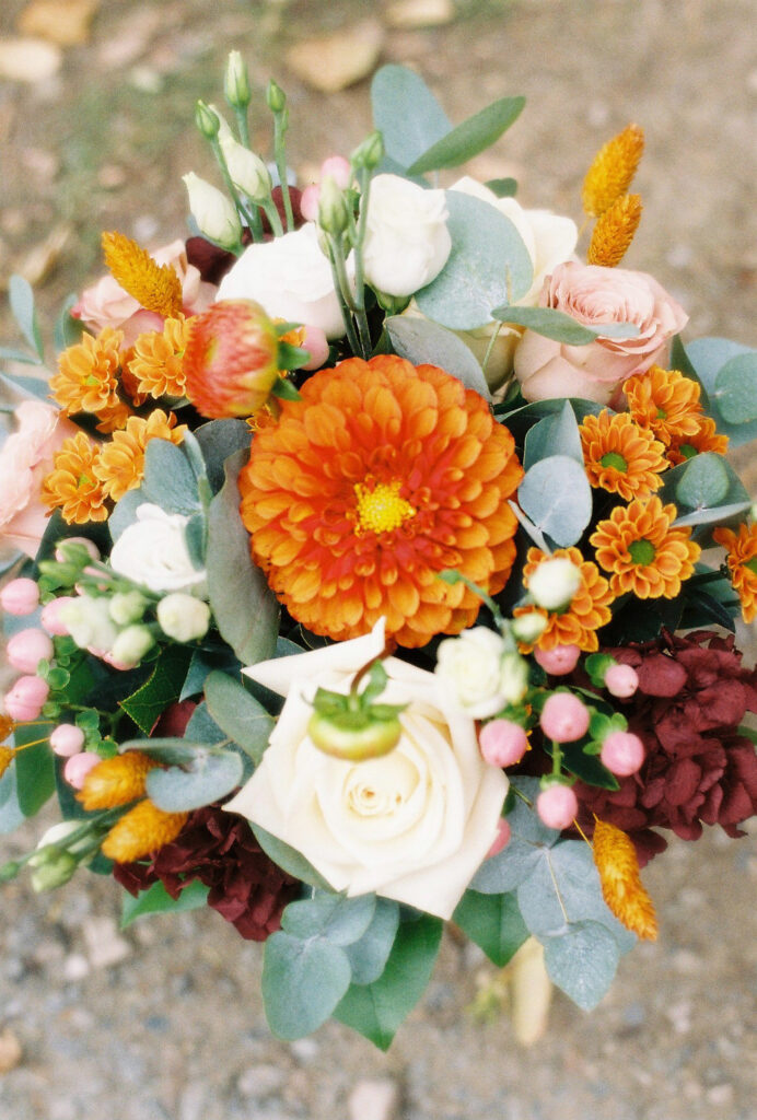 Bouquet de fleurs. Photographe et artiste visuelle. Vit à Lyon et travaille en France, en Espagne et au Chili. Mes projets : Printemps chilien et la tarte.