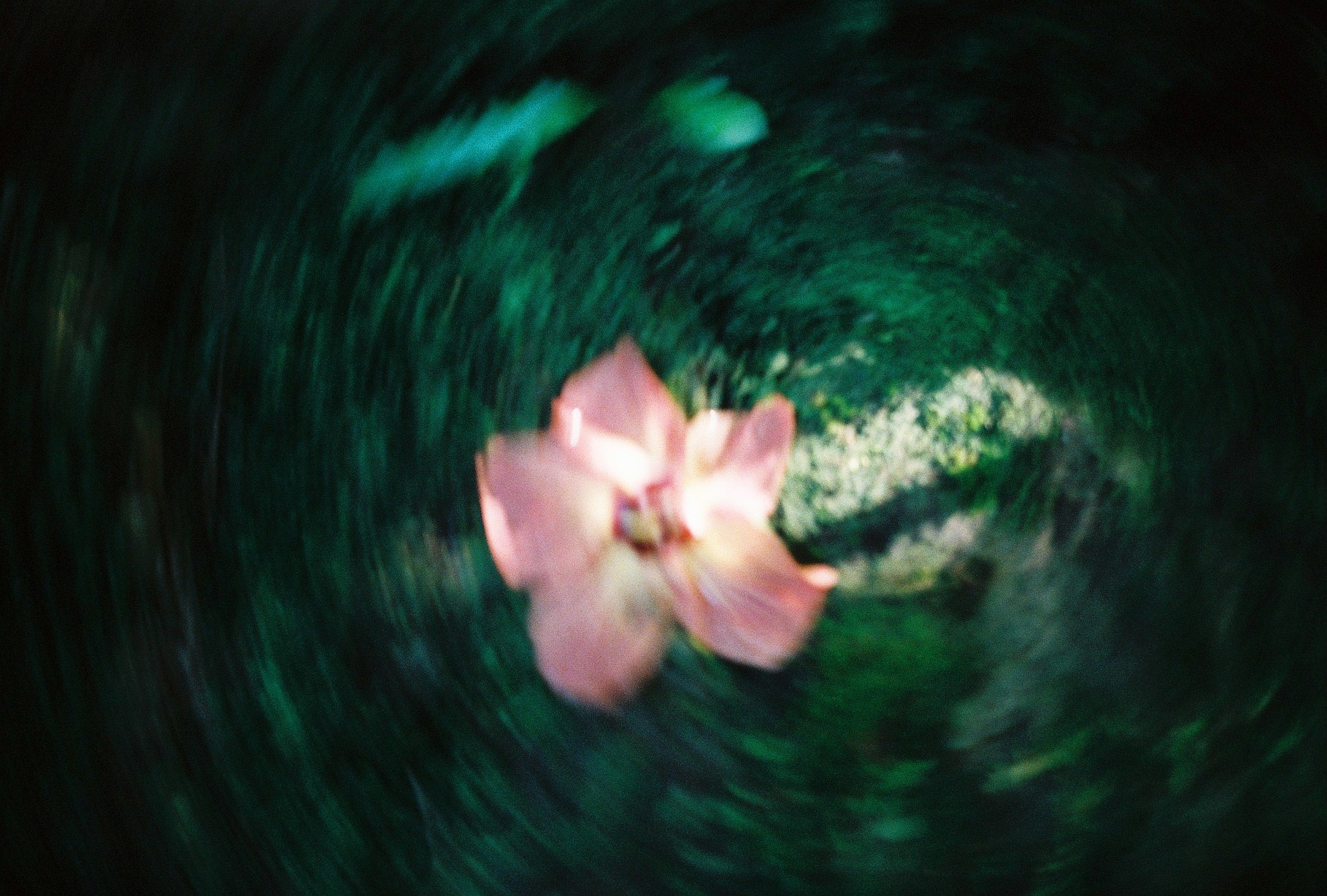 Silences003